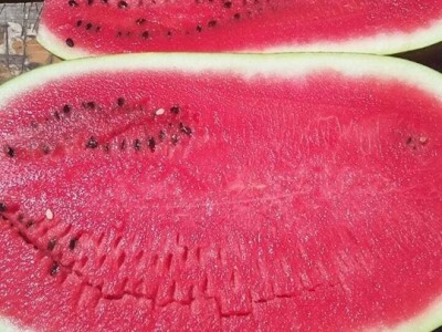 Neretvanske lubenice