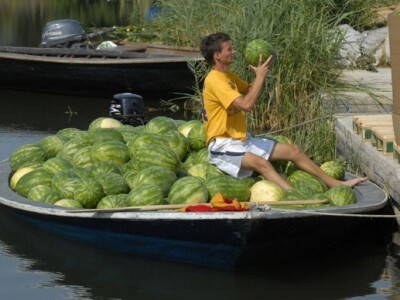 Neretvanske lubenice Neretvanske lubenice