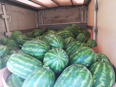 Neretvanske lubenice