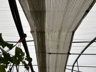 Nestaju li balkoni puni cvijeća? Nestaju li balkoni puni cvijeća?