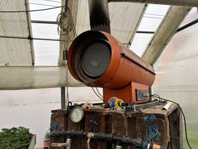 Nestaju li balkoni puni cvijeća? Nestaju li balkoni puni cvijeća?