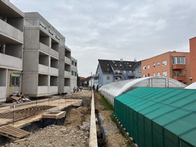 Nestaju li balkoni puni cvijeća? Nestaju li balkoni puni cvijeća?