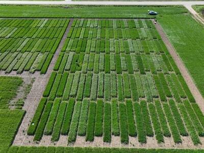 NET4DINAR Završnica