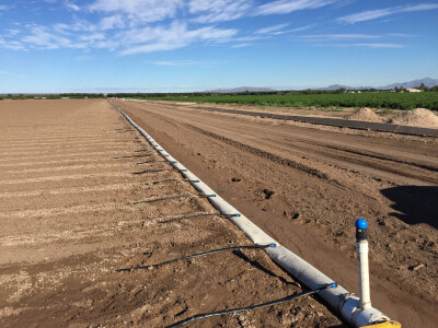 Netafim navodnjavanje na gospodarstvu Drožđek