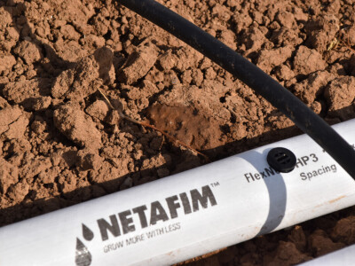 Netafim navodnjavanje na gospodarstvu Drožđek