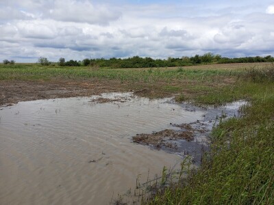 Nevreme Bačka Palanka