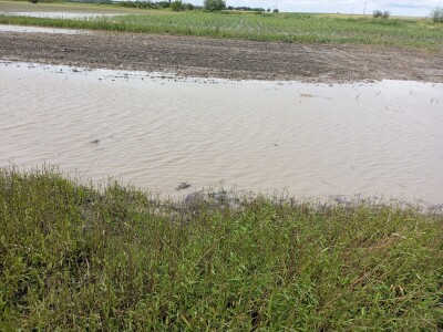 Nevreme Bačka Palanka