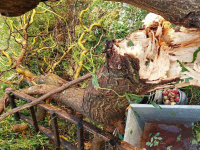 Nevreme i grad u šumadijskim selima ostavilo pustoš Nevreme i grad u šumadijskim selima ostavilo pustoš