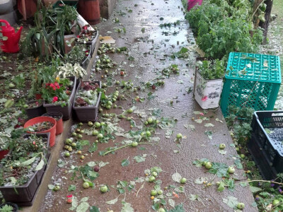 Nevreme u Vodicama kod Prokuplja Nevreme u Vodicama kod Prokuplja