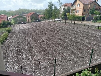 Nevreme u Zaječaru Nevreme u Zaječaru