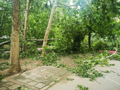 Nevreme, vetar, oluja