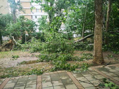 Nevreme, vetar, oluja