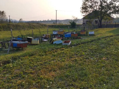 Nevrijeme i grad u šumadijskim selima ostavilo pustoš