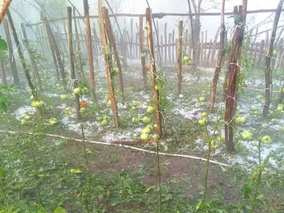 Nevrijeme i grad u šumadijskim selima ostavilo pustoš