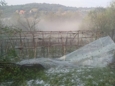 Nevrijeme i grad u šumadijskim selima ostavilo pustoš