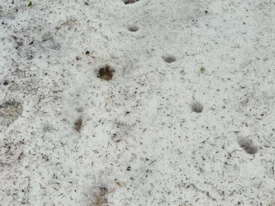 Nevrijeme u Dalmatinskoj zagori