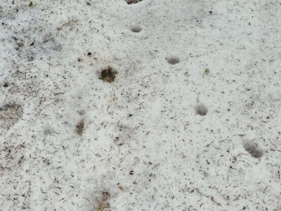 Nevrijeme u Dalmatinskoj zagori