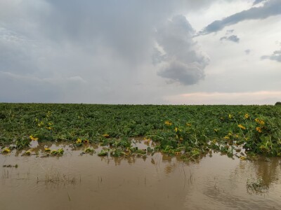 Nevrijeme u Petrijevcima