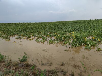 Nevrijeme u Petrijevcima