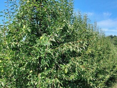 Nevrijeme u regii Banjaluka