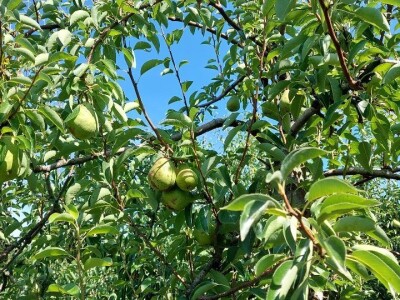 Nevrijeme u regii Banjaluka