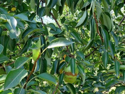 Nevrijeme u regii Banjaluka