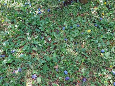 Nevrijeme u regii Banjaluka