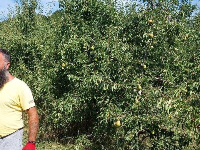 Nevrijeme u regii Banjaluka