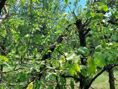 Nevrijeme u regii Banjaluka