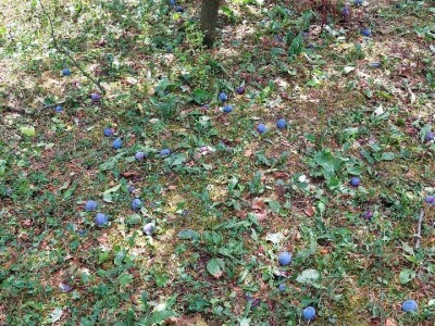 Nevrijeme u regii Banjaluka