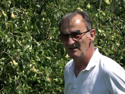Nevrijeme uništilo voćnjak Vrhovca