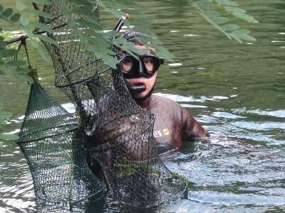Nezakoniti izlov na Cetini Nezakoniti izlov na Cetini