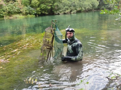 Nezakoniti izlov na Cetini