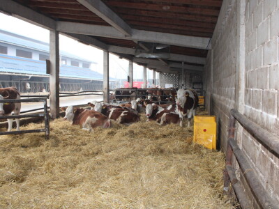 Nezaustavljiv rast Farme Euro, uskoro vrata otvara i sirana