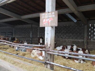 Nezaustavljiv rast Farme Euro, uskoro vrata otvara i sirana