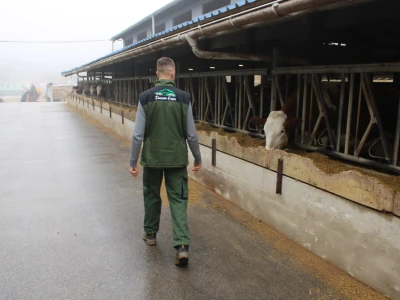 Nezaustavljiv rast Farme Euro, uskoro vrata otvara i sirana