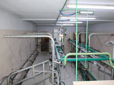 Nezaustavljiv rast Farme Euro, uskoro vrata otvara i sirana