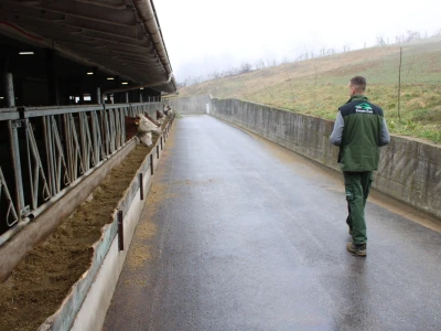 Nezaustavljiv rast Farme Euro, uskoro vrata otvara i sirana