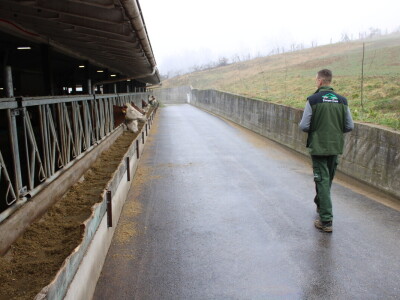 Nezaustavljiv rast Farme Euro, uskoro vrata otvara i sirana