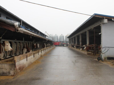 Nezaustavljiv rast Farme Euro, uskoro vrata otvara i sirana