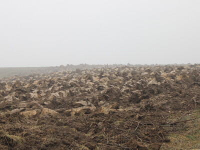 Nezaustavljiv rast Farme Euro, uskoro vrata otvara i sirana