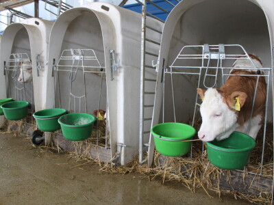 Nezaustavljiv rast Farme Euro, uskoro vrata otvara i sirana