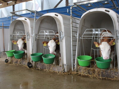 Nezaustavljiv rast Farme Euro, uskoro vrata otvara i sirana