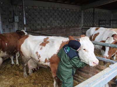 Nezaustavljiv rast Farme Euro, uskoro vrata otvara i sirana