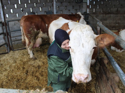 Nezaustavljiv rast Farme Euro, uskoro vrata otvara i sirana