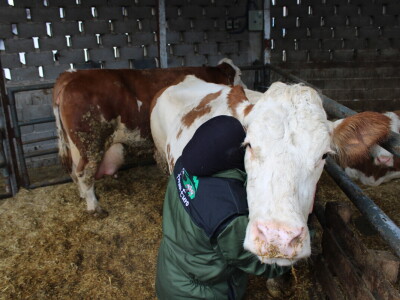 Nezaustavljiv rast Farme Euro, uskoro vrata otvara i sirana