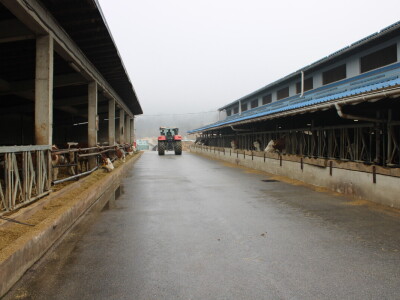 Nezaustavljiv rast Farme Euro, uskoro vrata otvara i sirana