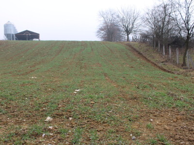 Nezaustavljiv rast Farme Euro, uskoro vrata otvara i sirana