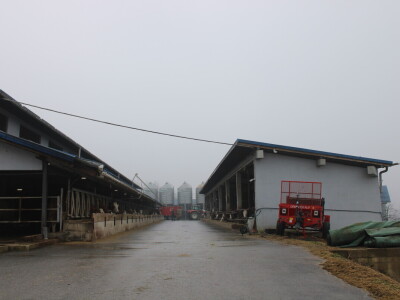 Nezaustavljiv rast Farme Euro, uskoro vrata otvara i sirana