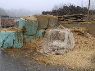 Nezaustavljiv rast Farme Euro, uskoro vrata otvara i sirana